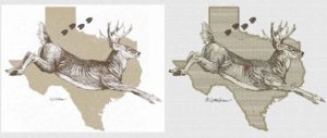digitized deer and texas for embroidery